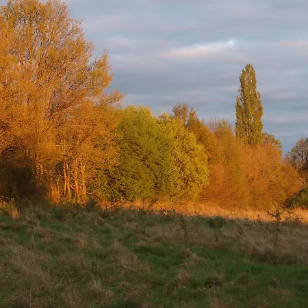 Chambres D'hotes De La Chevalerie Bed & Breakfast *