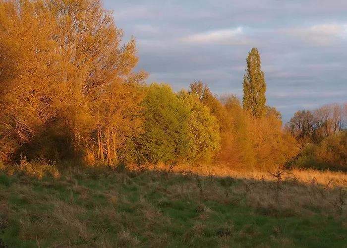 Chambres D'hotes De La Chevalerie Bed & Breakfast *