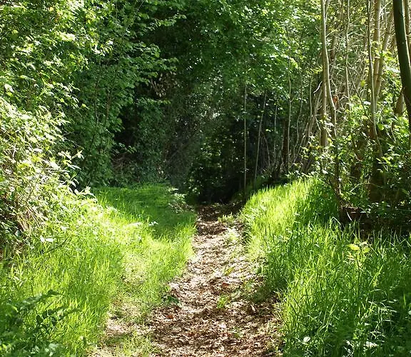 Chambres D'hotes De La Chevalerie * Noce
