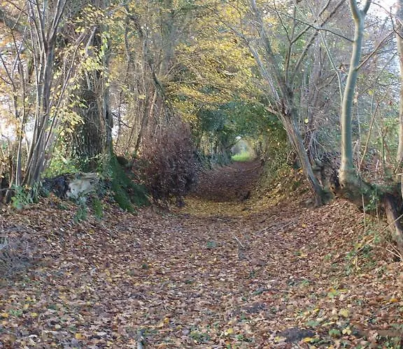 Chambres D'hotes De La Chevalerie Noce