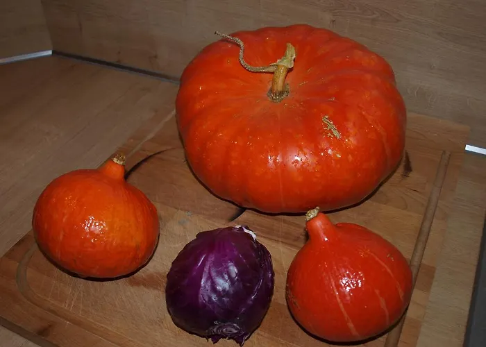 Couette-café De La Chevalerie