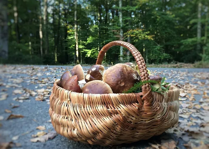 Couette-café De La Chevalerie Noce